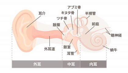 耳がつまる原因